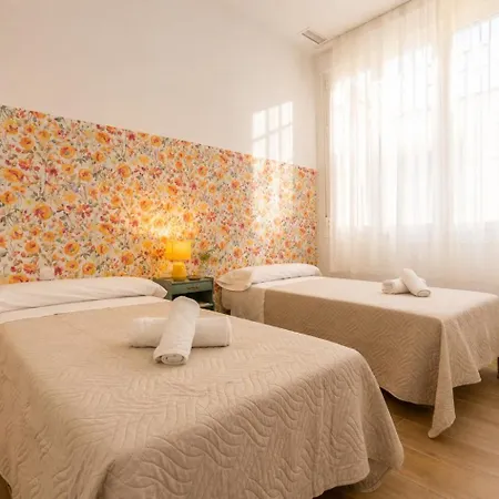 Lavanda Daire Málaga
